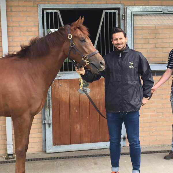 Testimonials Global Equine Group